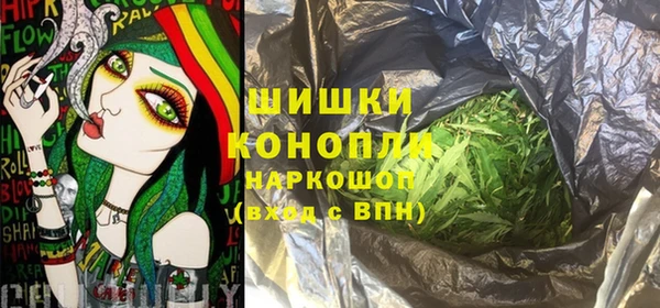 молекула духа Пестово