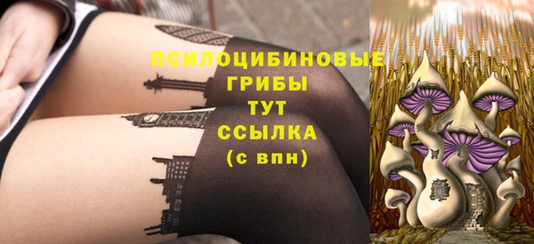 молекула духа Пестово