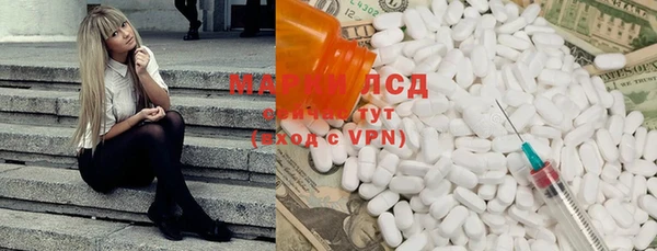 молекула духа Пестово