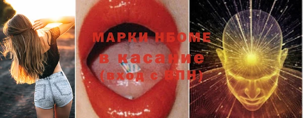 молекула духа Пестово