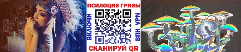 Купить закладки  Мамадыш  Галлюциногенные грибы Psilocybe 