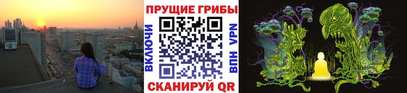 Псилоцибиновые грибы GOLDEN TEACHER Мамадыш