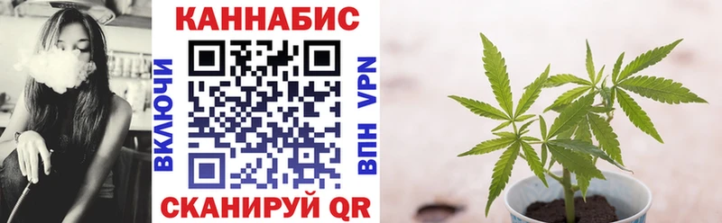 Купить закладки  Мамадыш  Бошки Шишки SATIVA & INDICA 